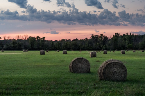 canoneos5dmarkiv hayfield deer field cloud sunset evening roundbale bale hay atardecer july summer verano mi michigan midland midmichigan