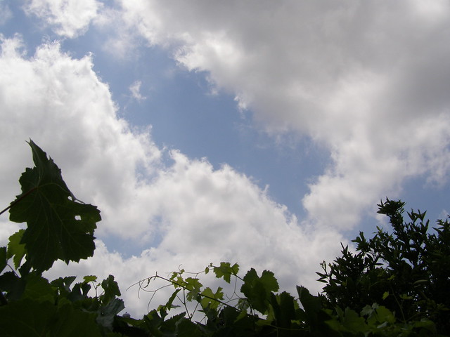 Σύννεφα τον Ιούλιο πάνω από την Ψίνθο