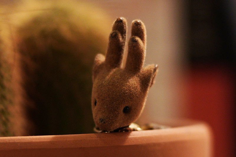 Plant and Deer doll_Crop