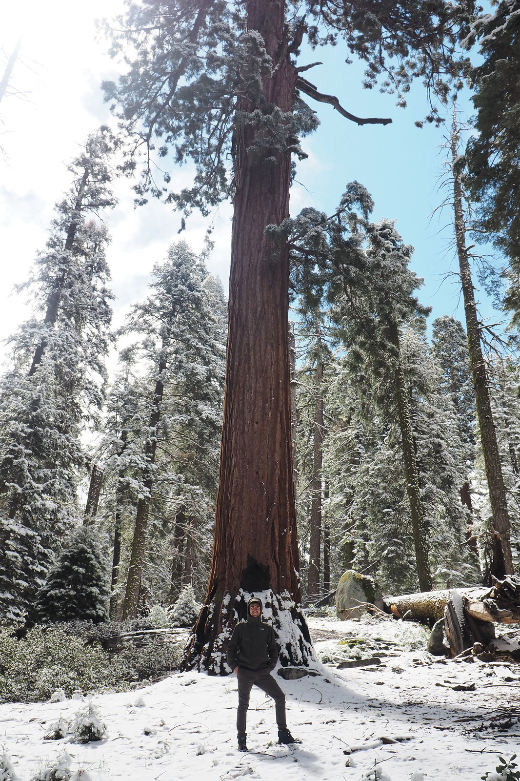 Sequoia National Park 7