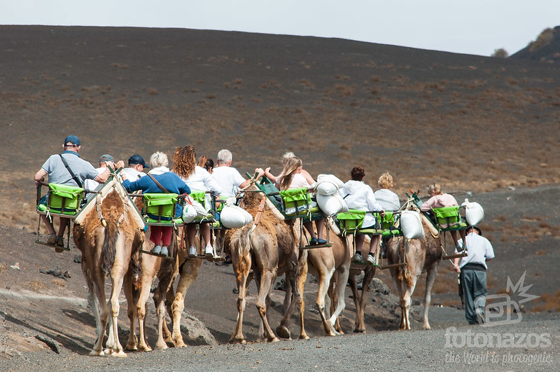 Echadero de Camellos