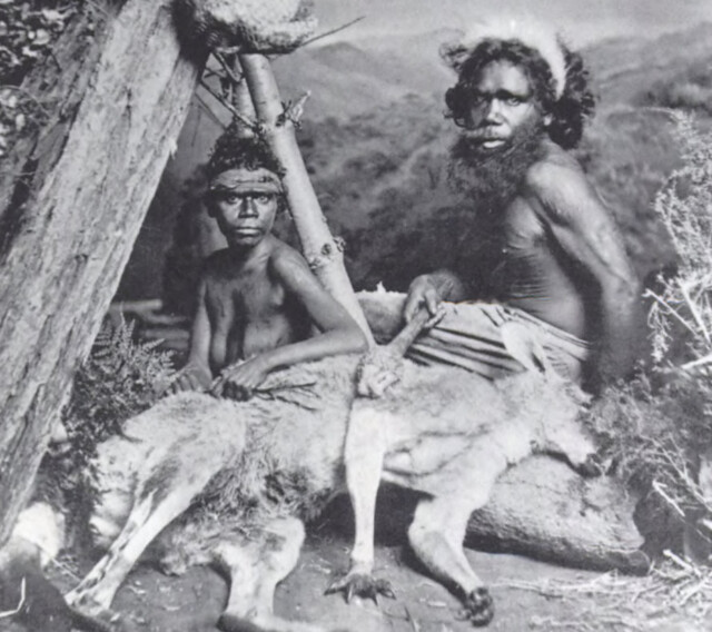 Man and woman with dead kangaroo inside a photo studio Grafton c1873