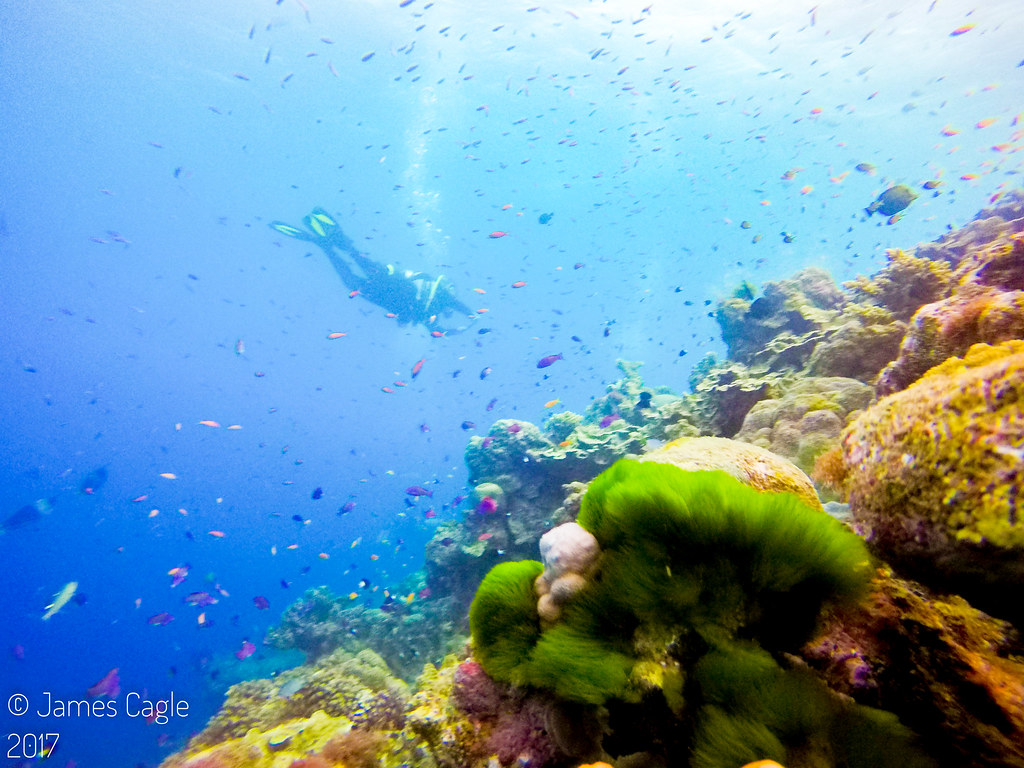 Great Barrier Reef - Australia-125
