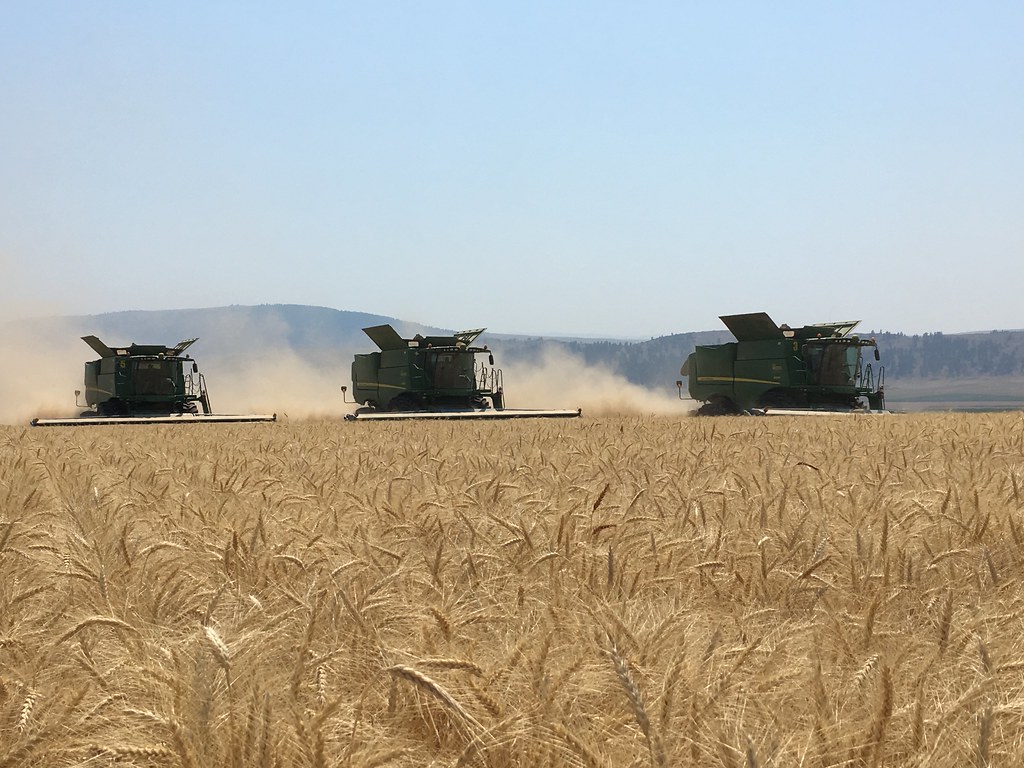 High Plains Harvesting 2017 (Willem)