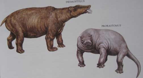 The Macmillan Illustrated Encyclopedia of DINOSAURS and Prehistoric Animals