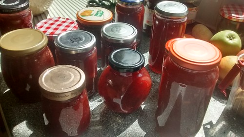 redcurrant, gooseberry and apple jam July 17 2