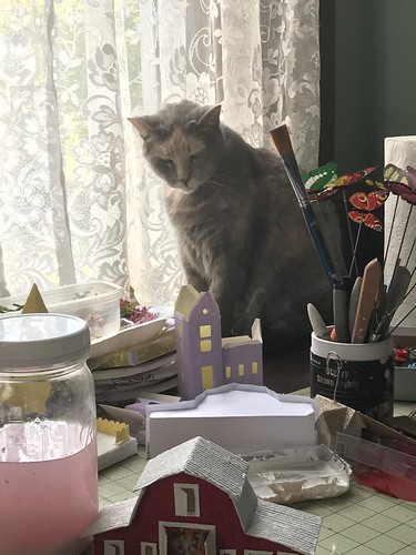 Buttercup likes the back of the craft desk.