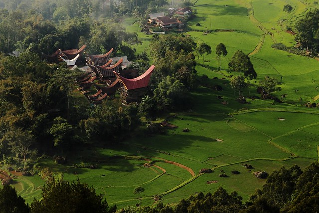 Tongkonan Houses -Aerial View