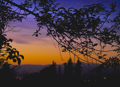 2015 balconygarden longexposure plumtree sisters sunset