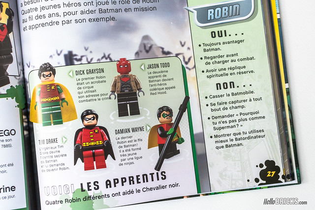 Review LEGO DC Comics Super Heroes Le Super Guide avec Wonder Woman