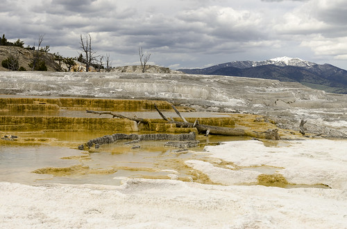 yellowstone national park mammoth hot springs geysers outdoors sightseeing colorful color landscape upper terrace texture