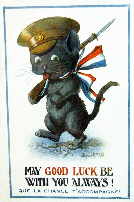 Открытка из коллекции "Коты в Первой мировой войне"