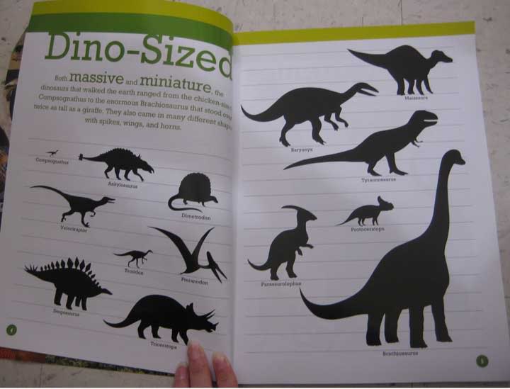 All About Drawing Dinosaurs & Reptiles