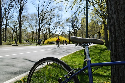 5 Great Ways to Explore Central Park