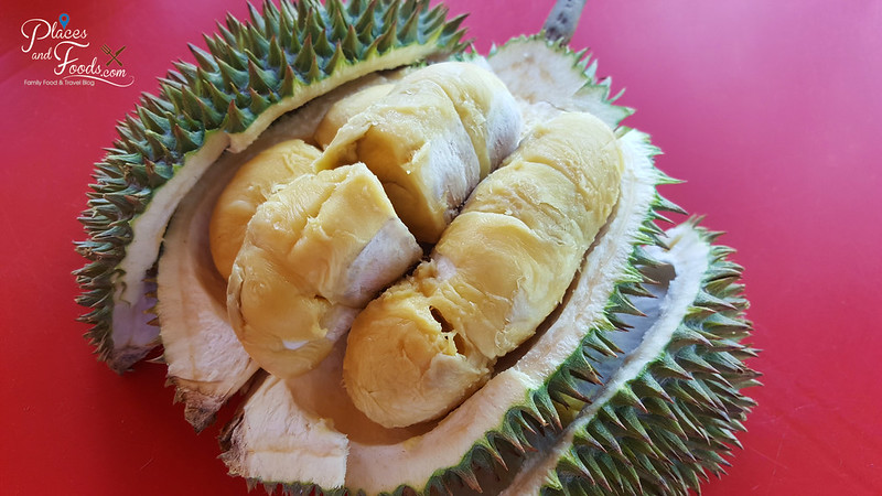 Bun durian d13 golden Pembekal isi