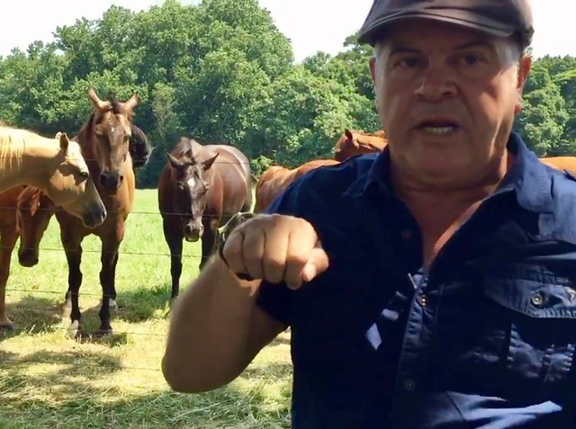 ​ 🐴 Colombian loved his 🐎 Paso Fino horse