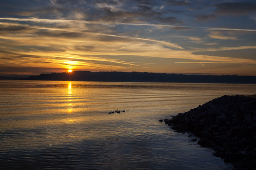 dawn ducks silouette tacoma thelobstershop rustonway richborder sunrise landscape sonya77 burn