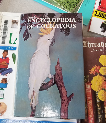 encyclopedia cockatoos