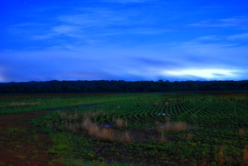 night storm farm tennessee lightning