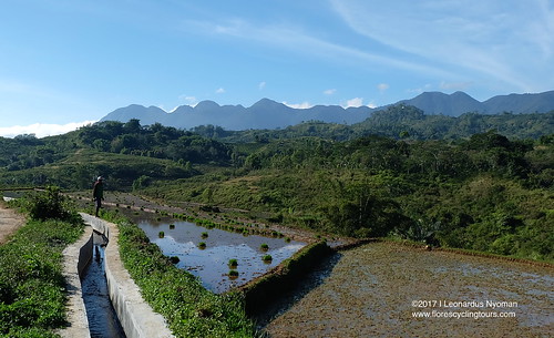 cycling biking ruteng manggarai floresisland indonesia tours destination active landscape photography