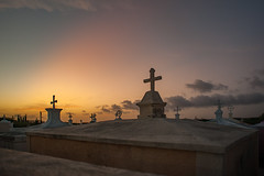 2011-Curacao-0213.jpg