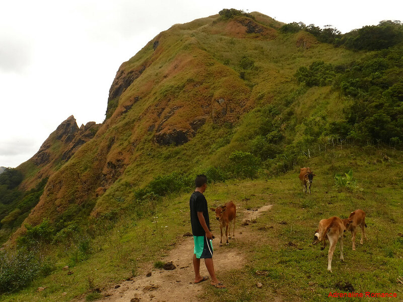 Mt. Napulak shoulder