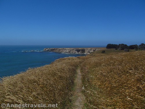 The trail along the headland at Point Arena-Stornetta National Monument, California