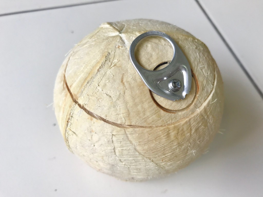 Coconut with tab 1
