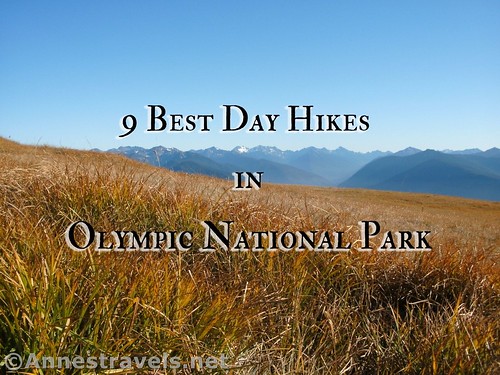 Views from Hurricane Ridge - 9 Best Day Hikes in Olympic National Park, Washington