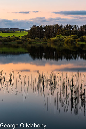 lake water sunset sky landscape ireland waterford cowaterford reeds