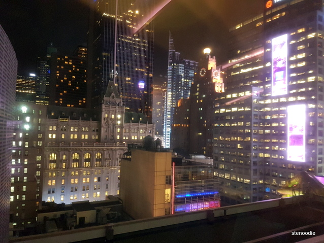  New York City views