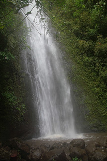 170 Manoa Falls