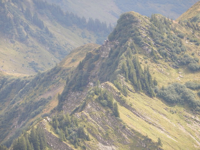 Diedamskopf - Panorama