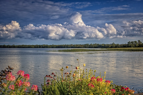 canada lakeontario brighton flowers clouds cloudscape water wimvandem bright blue contrast color colors colours colour cloud flower heaven landscape lake minolta nature outdoors outdoor panorama reflection ripples sony sky sun thenetherlands topf150150199faves ngc npc