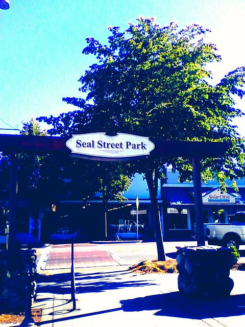 Seal Street Park Sequim