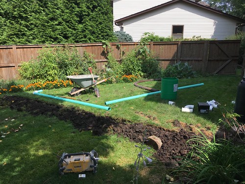New Yard Drainage System