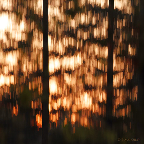 icm intentionalcameramovement impressionisticphotography photographicimpressionism sunrise
