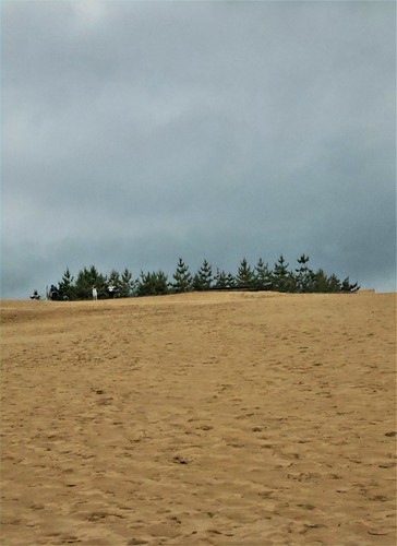 jp-tottori-dunes (19)