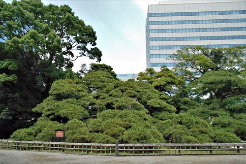 jp-tokyo 26-jardin (3)