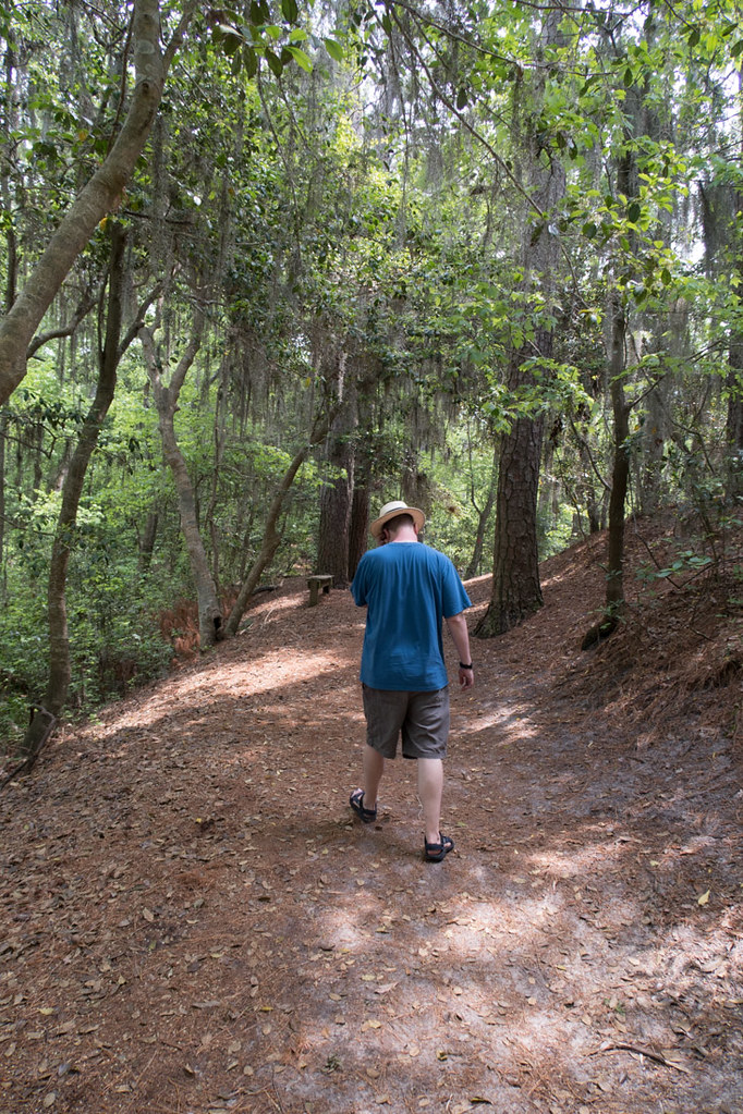 Bald Cypress trail