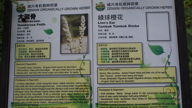 Kluang Zenxin Organic Park