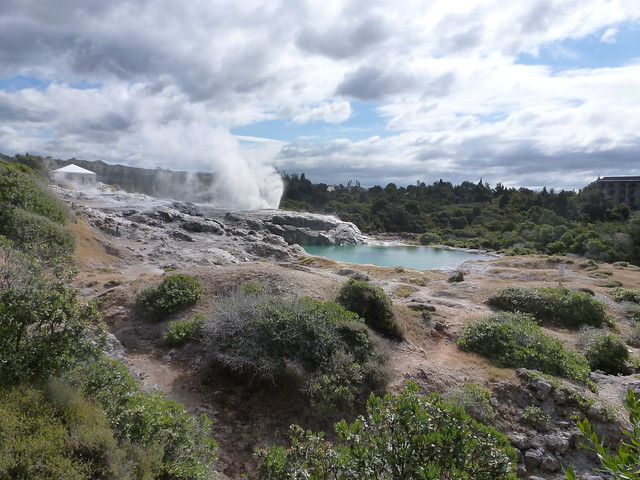 Descubriendo el olor de Rotorua - NUEVA ZELANDA. POR LA TIERRA DE LA LARGA NUBE BLANCA (26)