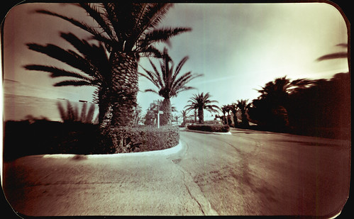 pinhole obscura stenope lochkamera analog analogue tin altoids mediumformat 6x9 film paper orthochromatic ortho photocopy d76 stock color colour wide summer wideangle landscape cityscape tree trees palm palms leaves foliage road sky gortynis anissaras crete greece