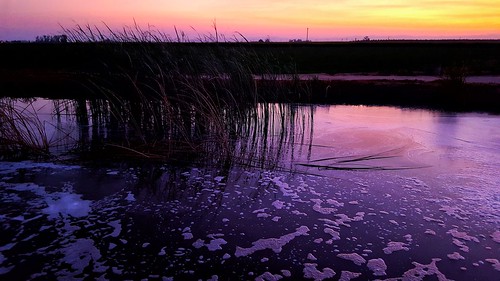 sunset california water canal purple stevenson