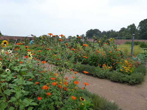 Attingham Park Walled Garden