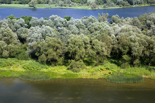 lake czchów tropsztyn nature view green
