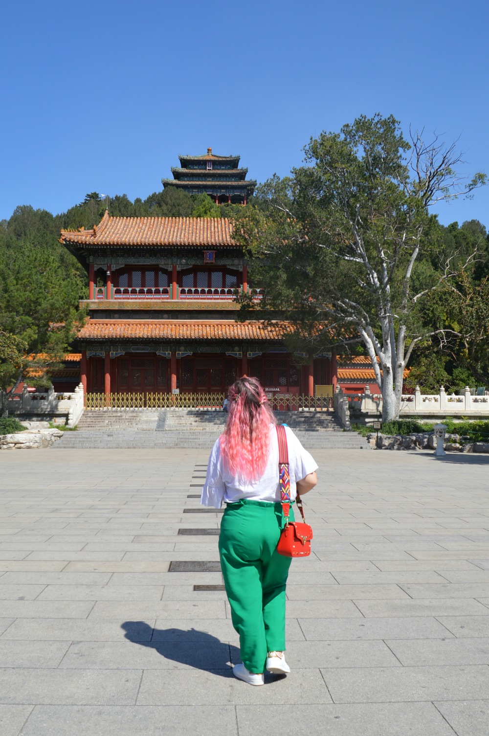outfit plus size pantaoli verdi navabi e tshirt bianca (4)