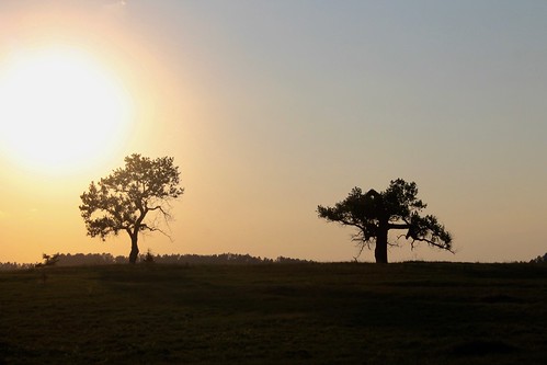 fort niobrara national wildlife refuge nebraska tree silhouette sun sunset