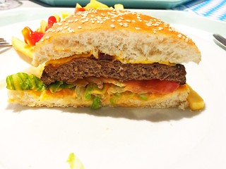 Hamburger - Querschnitt / Lateral cut