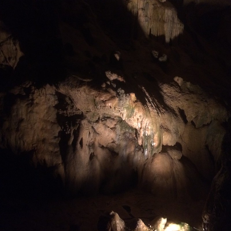 Grotte d'Osselle #FrancheComte #grotte #grotto #cave #stalagmite #stalactite #prehistory #visit #travel